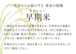 画像をギャラリービューアに読み込む, 【おひとり様各サイズ1点まで】倉田農園のおいしいお米(新米)|天草本町産