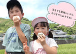 画像をギャラリービューアに読み込む, 【おひとり様各サイズ1点まで】倉田農園のおいしいお米(新米)|天草本町産