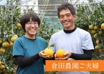 画像をギャラリービューアに読み込む, 倉田農園のあまでこ(不知火)|天草本町産