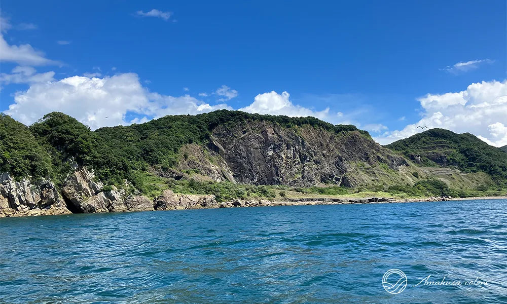 1億4000万年前へタイムトラベル！熊本県御所浦で化石採集＆恐竜の島の魅力を探る旅 ｜熊本県天草市の魅力を発信するWebメディアAmakusa  colors <!-- – amakusa colors -->