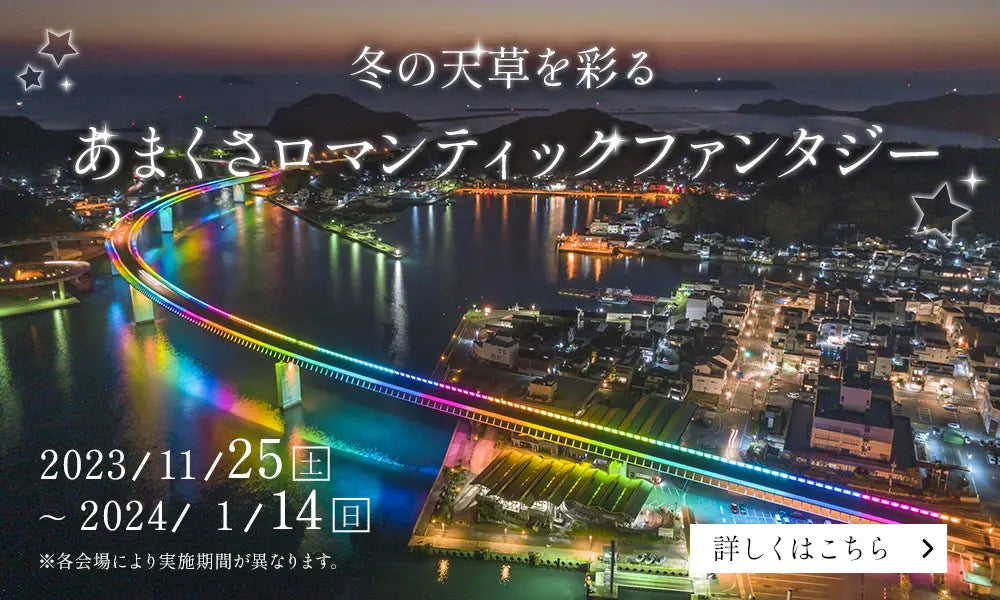 売り尽くし価格 【鉄道サボ 愛称板】（表）天草 AMAKUSA（裏）つくし