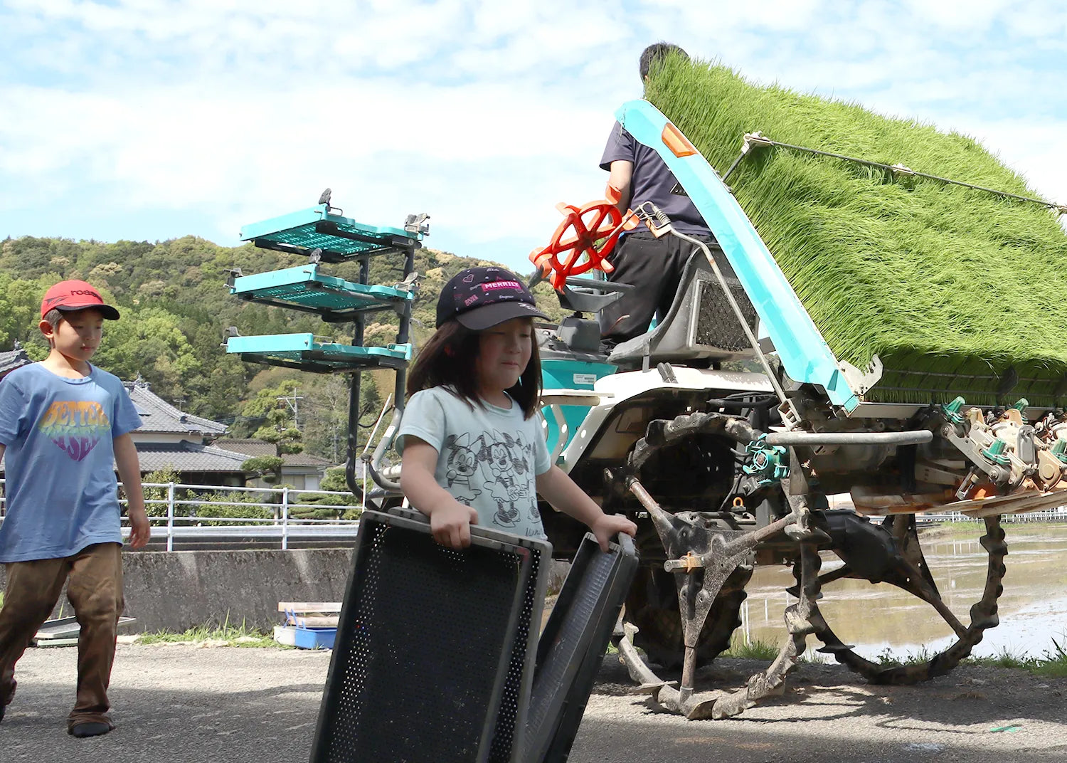 【おひとり様各サイズ1点まで】倉田農園のおいしいお米（新米）｜天草本町産