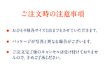 画像をギャラリービューアに読み込む, 【おひとり様各サイズ1点まで】倉田農園のおいしいお米（新米）｜天草本町産
